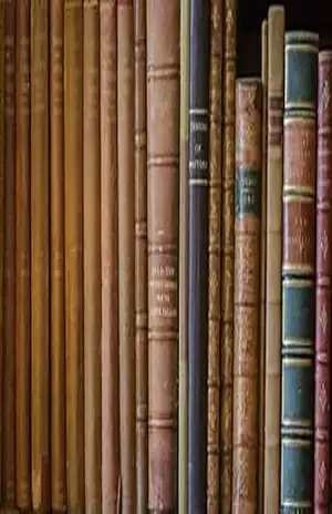 NERVOSOS, LYMPHATICOS E SANGUINEOS: Portuguese and English Edition – Alberto Pimentel