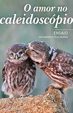 O amor no caleidoscópio – Ana Garrido
