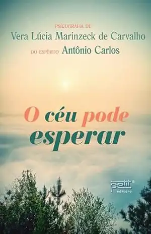O céu pode esperar – Vera Lúcia Marinzeck de Carvalho