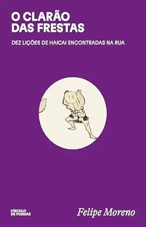 O clarão das frestas - Felipe Moreno