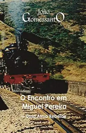 O Encontro em Miguel Pereira: Uma Alma Rebelde – João Gomessanto