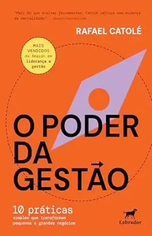 O poder da gestão: 10 práticas simples que transformam pequenos e grandes negócios - Rafael Catolé Demétrio