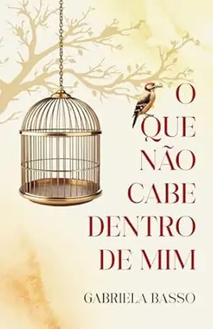 O que não cabe dentro de mim – Gabriela Basso