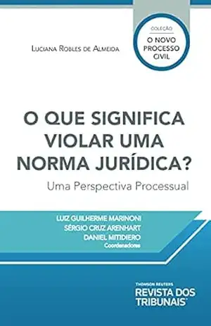 O que significa violar uma norma jurídica? uma perspectiva processual – Luciana Robles de Almeida