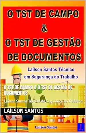 O TST de Campo & O TST de Gestão de documentos: Laílson Santos Técnico de Segurança do Trabalho – Laílson Santos