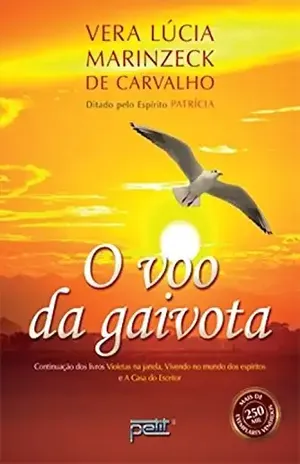 O voo da gaivota – Vera Lúcia Marinzeck de Carvalho