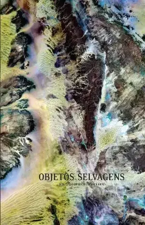 Objetos Selvagens – ED.GODOFREDO PEREIRA