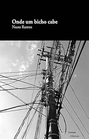 Onde um bicho cabe (Formas Breves) – Nuno Ramos