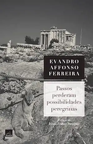 Passos perderam possibilidades peregrinas: Uma visão poética sobre o tradutor José Paulo Paes – Evandro  Affonso Ferreira