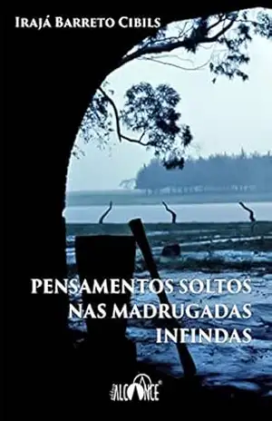 Pensamentos soltos nas madrugadas infindas – Irajá Barreto Cibils
