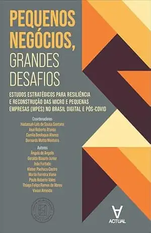 Pequenos negócios, grandes desafios: estudos estratégicos para resiliência e reconstrução das micro e pequenas empresas (mpes) no Brasil digital e pós–covid – Hadassah Laís de Sousa Santana