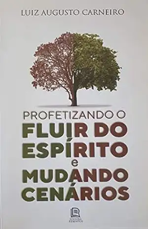 Profetizando o Fluir do Espírito e Mudando Cenários - Luiz Augusto  Carneiro