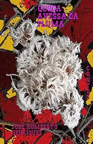 Queda Avessa da Pluma – José Humberto Da Silva Henriques