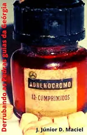Sangue Adrenalizado: Derrubando as pedras guias da Geórgia - J. Júnior D. Maciel