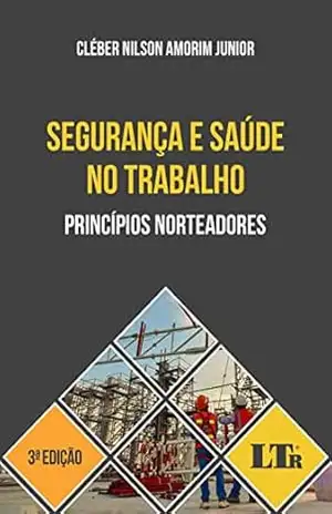 Segurança e Saúde no Trabalho: Princípios Norteadores – Cléber Nilson Amorim Junior