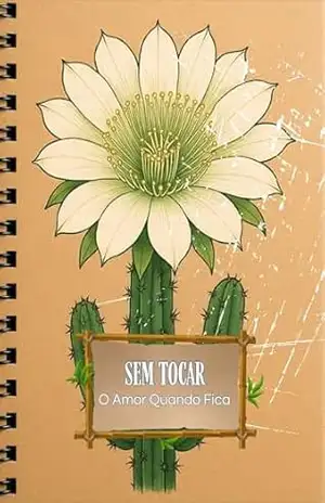 Sem Tocar – O Amor Quando Fica – – Kiirina –