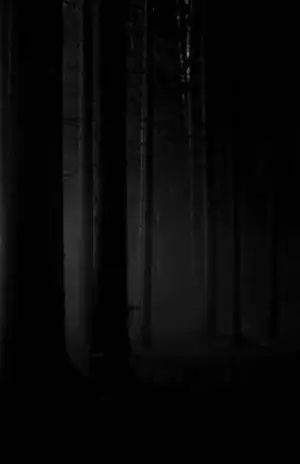 Sermain - Apolo Evy