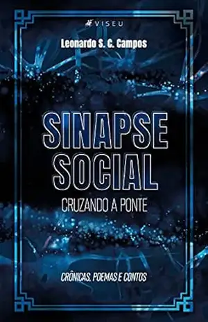 Sinapse social: Cruzando a Ponte – Leonardo S. C. Campos