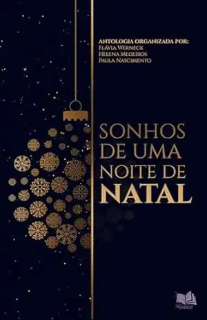Sonhos de uma noite de Natal - Flávia Werneck