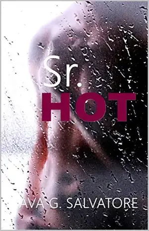 Sr. HOT: Box Set (Dominação Livro 4) – Ava G. Salvatore