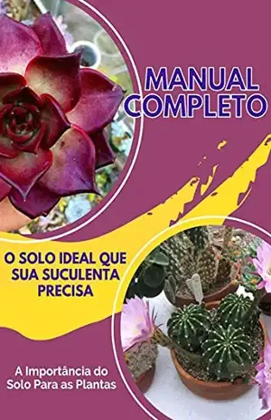 Suculentas – A Importância do Solo Ideal – Avaço Digital