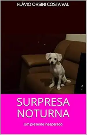 SURPRESA NOTURNA: Um presente inesperado - FLÁVIO ORSINI COSTA VAL