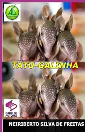 Tatu–galinha - Neiriberto Silva De Freitas