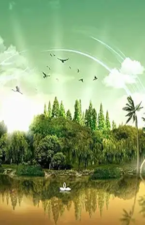 Terra Ausente – Luís Amorim