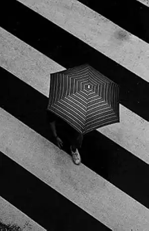 Um novo caminho outra vez: Continuar sempre… (Poesias do Século XXI) – Mauri Goncalves