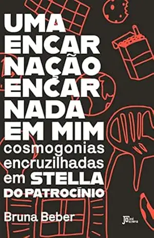 Uma encarnação encarnada em mim - Bruna Beber