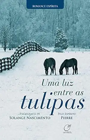Uma luz entre as tulipas – Solange Nascimento