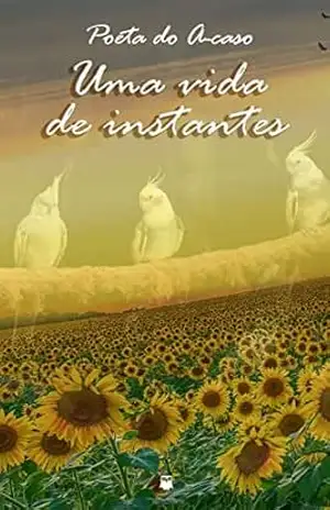 Uma vida de instantes – Poeta do A-caso
