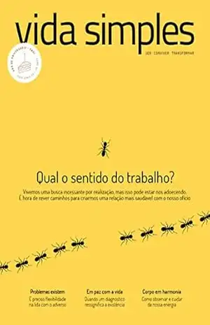 Vida Simples Ed. 240 – Qual o sentido do trabalho (VS EDITORA E CONTEUDO) – VS EDITORA E CONTEUDO