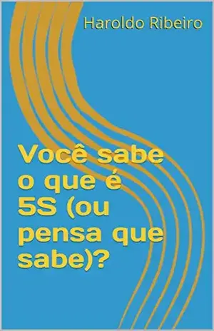 Você sabe o que é 5S (ou pensa que sabe)? (5S – Ou você implanta, ou você implanta! Livro 1) - Haroldo Ribeiro